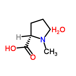 cas no 199917-42-5 is 1-Methyl-L-proline monohydrate