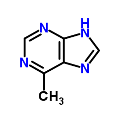 cas no 2004-03-7 is 6-Methylpurine