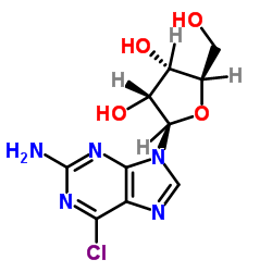 cas no 2004-07-1 is 6-Chloroguanineriboside