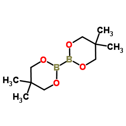 cas no 201733-56-4 is 5,5,5',5'-Tetramethyl-2,2'-bi(1,3,2-dioxaborinane)