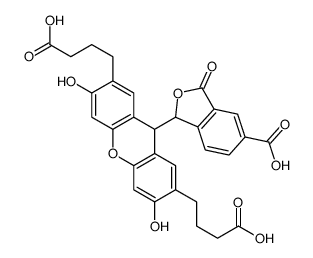 cas no 202872-98-8 is 2' 7'-BIS(3-CARBOXYPROPYL)-5(6)-CARBOXY-