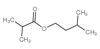 cas no 2050-01-3 is Isopentyl isobutyrate