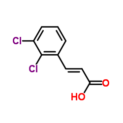 cas no 20595-44-2 is (2E)-3-(2,3-Dichlorophenyl)acrylic acid