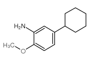 cas no 206559-52-6 is 5-Cyclohexyl-o-anisidine