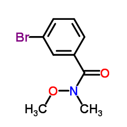 cas no 207681-67-2 is 3-Bromo-N-methoxy-N-methylbenzamide