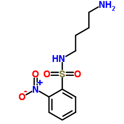 cas no 211512-13-9 is N-(4-Aminobutyl)-2-nitrobenzenesulfonamide