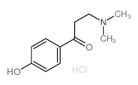 cas no 2125-51-1 is 3-dimethylamino-1-(4-hydroxyphenyl)propan-1-one