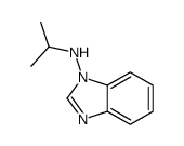 cas no 213206-24-7 is 1H-Benzimidazol-1-amine,N-(1-methylethyl)-(9CI)