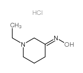 cas no 213627-39-5 is 1-ETHYLPIPERIDIN-3-OXYME HYDROCHLORIDE