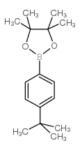 cas no 214360-66-4 is 2-(4-(TERT-BUTYL)PHENYL)-4,4,5,5-TETRAMETHYL-1,3,2-DIOXABOROLANE