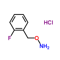 cas no 215599-91-0 is 1-[(AMMONIOOXY)METHYL]-2-FLUOROBENZENE CHLORIDE