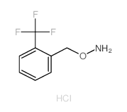 cas no 215599-92-1 is 2-(Aminooxymethyl)benzotrifluoride hydrochloride