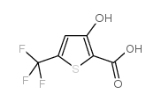 cas no 217959-85-8 is 5-(TRIFLUOROMETHYL)-3-HYDROXYTHIOPHENE-2-CARBOXYLIC ACID