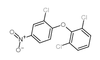 cas no 218795-72-3 is 1,3-dichloro-2-(2-chloro-4-nitrophenoxy)benzene