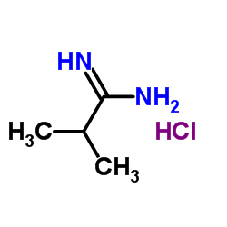 cas no 22007-68-7 is 2-methylpropanimidamide hydrochloride