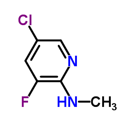 cas no 220714-72-7 is 5-Chloro-3-fluoro-N-methyl-2-pyridinamine