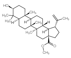 cas no 2259-06-5 is Betulinic acid methyl ester
