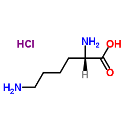 cas no 22834-80-6 is L-Lysine hydrochloride