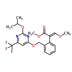 cas no 229977-93-9 is fluacrypyrim