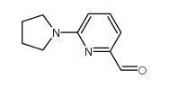 cas no 230618-24-3 is 6-(PYRROLIDIN-1-YL)PICOLINALDEHYDE