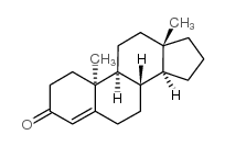 cas no 23124-52-9 is (10a)-Androst-4-en-3-one
