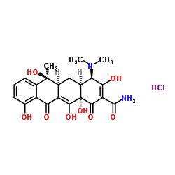 cas no 23313-80-6 is 4-Epitetracycline hydrochloride