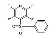 cas no 23449-67-4 is 2,3,5,6-TETRAFLUORO-4-(PHENYLSULPHONYL)PYRIDINE
