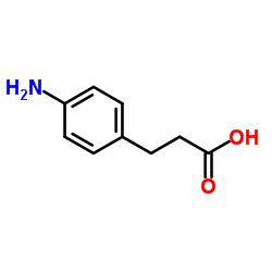 cas no 2393-17-1 is 3-(4-Aminophenyl)propionic acid