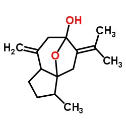cas no 24063-71-6 is Isocurcumenol