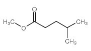 cas no 2412-80-8 is methyl 4-methyl valerate