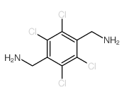 cas no 24342-97-0 is 2,3,5,6-Tetrachloro-1,4-benzenedimethanamine
