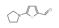 cas no 24372-47-2 is 5-(1-PYRROLIDINYL)-2-THIOPHENECARBALDEHYDE