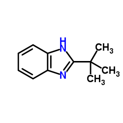 cas no 24425-13-6 is 2-tert-butyl-1H-benzo[d]imidazole