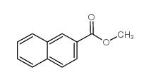 cas no 2459-25-8 is methyl 2-naphthoate