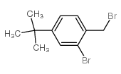 cas no 246139-76-4 is 2-BROMO-1-BROMOMETHYL-4-TERT-BUTYL-BENZENE