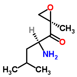 cas no 247068-84-4 is (S)-2-Amino-4-methyl-1-((R)-2-methyloxiran-2-yl)pentan-1-one