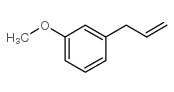 cas no 24743-14-4 is 3-(3-METHOXYPHENYL)-1-PROPENE