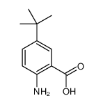 cas no 2475-77-6 is 2-AMINO-5-TERT-BUTYL-BENZOIC ACID