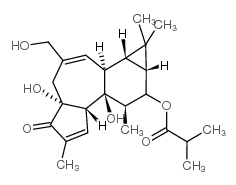 cas no 25090-74-8 is 12-deoxyphorbol 13-isobutyrate