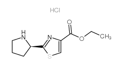 cas no 251349-56-1 is ETHYL2-((R)-PYRROLIDIN-2-YL)THIAZOLE-4-CARBOXYLATEHYDROCHLORIDE