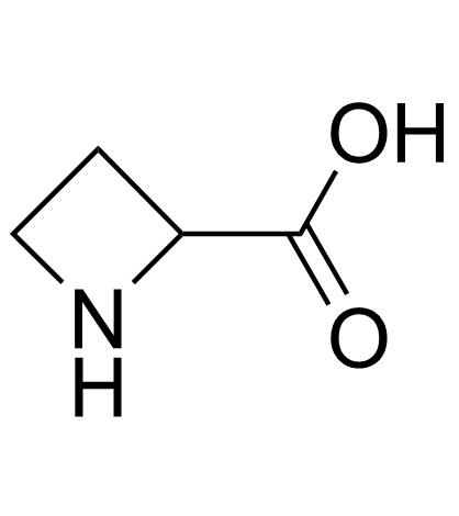 cas no 2517-04-6 is Azetidine-2-carboxylic acid