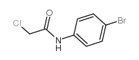 cas no 2564-02-5 is Acetamide,N-(4-bromophenyl)-2-chloro-