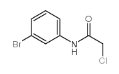 cas no 2564-03-6 is N-(3-Bromophenyl)-2-chloroacetamide