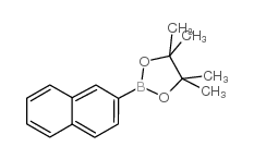 cas no 256652-04-7 is Naphthalene-2-boronic acid pinacol ester