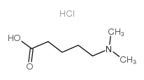 cas no 25726-28-7 is 5-(Dimethylamino)-pentanoic acid hydrochloride