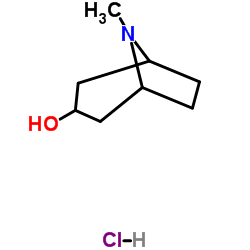 cas no 258345-27-6 is 8-methyl-8-azabicyclo[3.2.1]octan-3-ol,hydrochloride