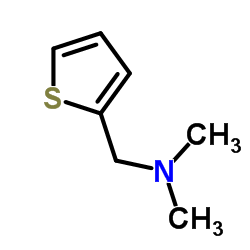 cas no 26019-17-0 is 2-Thenylamine, N,N-dimethyl-
