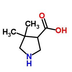 cas no 261896-35-9 is 4,4-Dimethyl-3-pyrrolidinecarboxylic acid
