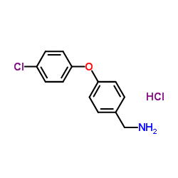 cas no 262862-71-5 is (4-(4-Chlorophenoxy)phenyl)methanamine hydrochloride