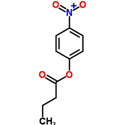 cas no 2635-84-9 is 4-Nitrophenyl butyrate
